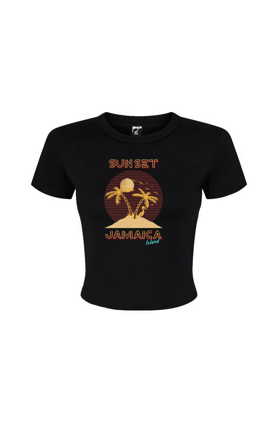 Women's Micro Rib Baby Tee